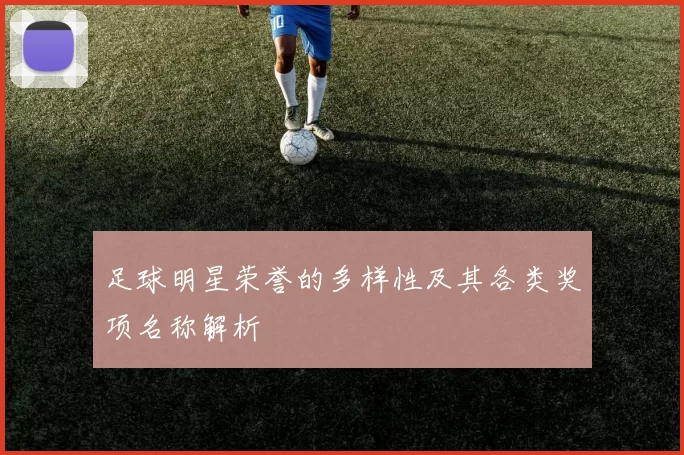 足球明星荣誉的多样性及其各类奖项名称解析