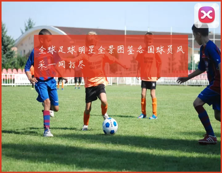 全球足球明星全景图鉴各国球员风采一网打尽