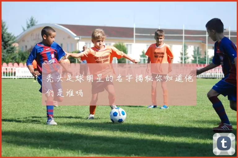 秃头足球明星的名字揭秘你知道他们是谁吗