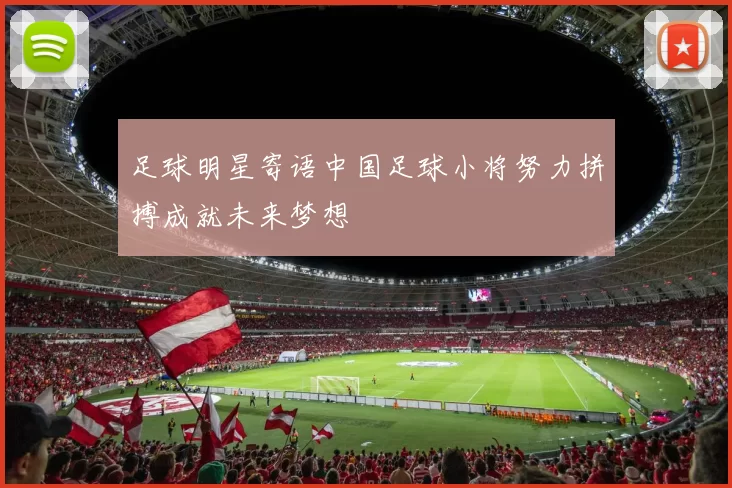 足球明星寄语中国足球小将努力拼搏成就未来梦想