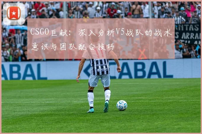 CSGO巨献：深入分析V5战队的战术意识与团队配合技巧