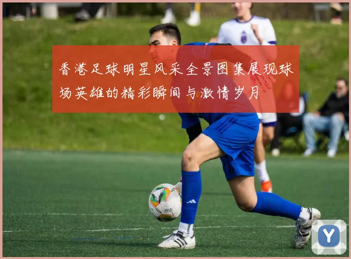 香港足球明星风采全景图集展现球场英雄的精彩瞬间与激情岁月