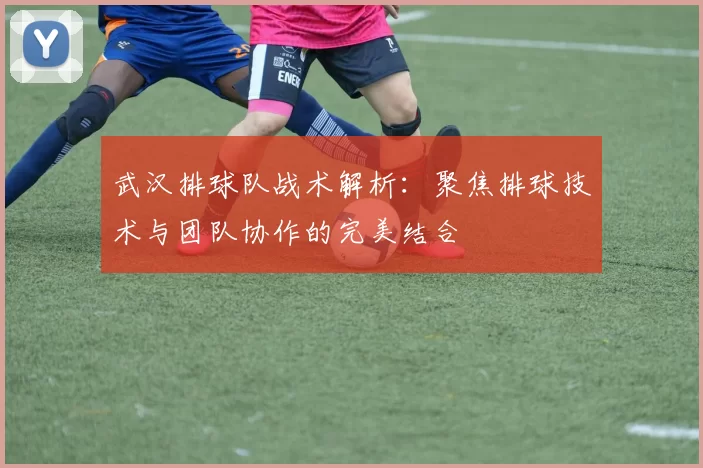 武汉排球队战术解析：聚焦排球技术与团队协作的完美结合