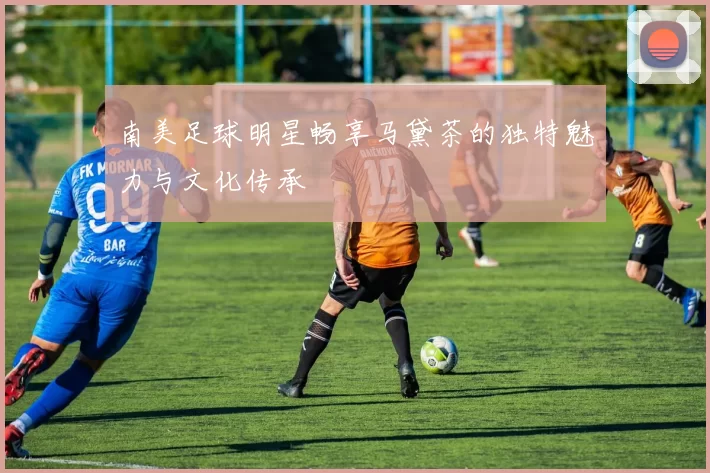 南美足球明星畅享马黛茶的独特魅力与文化传承
