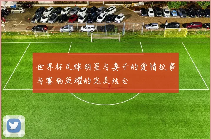 世界杯足球明星与妻子的爱情故事与赛场荣耀的完美结合