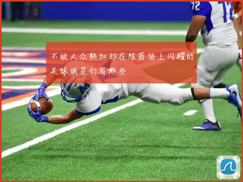 不被大众熟知却在绿茵场上闪耀的足球明星们有哪些
