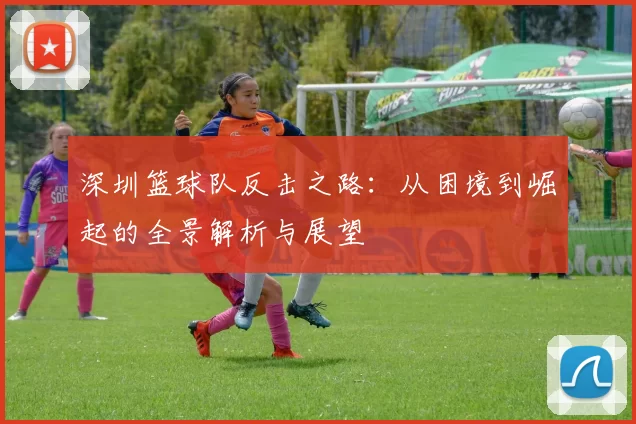 深圳篮球队反击之路：从困境到崛起的全景解析与展望