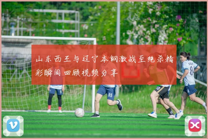 山东西王与辽宁本钢激战至绝杀精彩瞬间回顾视频分享