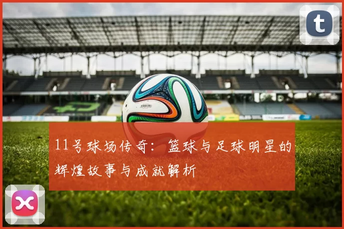 11号球场传奇：篮球与足球明星的辉煌故事与成就解析