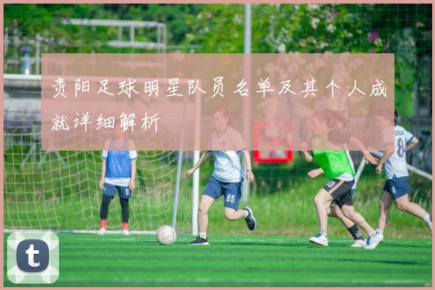 贵阳足球明星队员名单及其个人成就详细解析