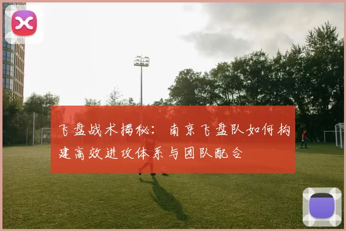 飞盘战术揭秘：南京飞盘队如何构建高效进攻体系与团队配合