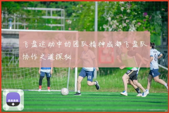 飞盘运动中的团队精神成都飞盘队协作之道探秘