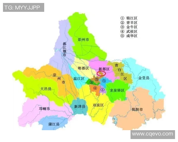 成都足球队状态分析：近期表现与未来展望的全面解读